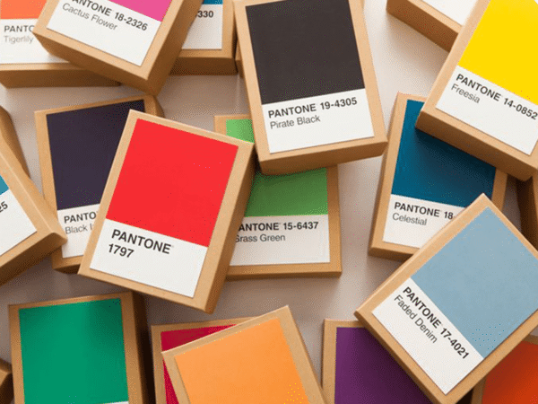 The Power of Colors - Blog Post