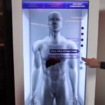 Ecrã Transparente em utilização - Anatomia Humana