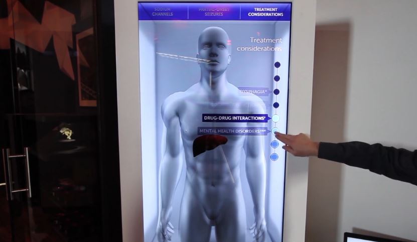 Ecrã Transparente em utilização - Anatomia Humana